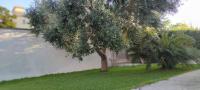 LA BELLA DIMORA - B&B