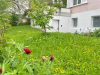 Studio in Stadtnähe Zürich mit guter Verkehrsanbindung - B&B