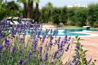 B&B Martina Franca - Villa Martino - Bed and Breakfast Martina Franca