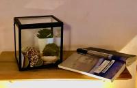 Apartamento Estándar con ducha