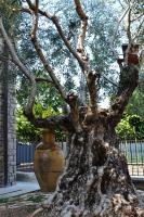 Riflessi d'Arte - Bed and Breakfast Provaglio d'Iseo