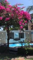 Nossa Casa de férias em Alter do Chão - Bed and Breakfast