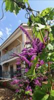 Half of house to rent - family Zelenika - Bed and Breakfast