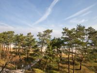 Strandvillen Binz - Ferienwohnung mit Meerblick, 2 Schlafzimmern und Balkon SV-714 - Chambres d'hôtes Ostseebad Binz