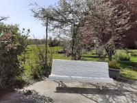 La maison d'Augusta - B&B Saint-Martin-de-Coux