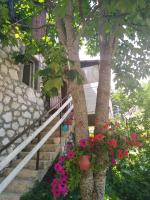 B&B Žabljak - Apartment Dobre Vode - Bed and Breakfast Žabljak