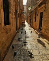 Dubrovnik Old Town Charming Room - B&B Dubrovnik