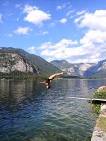 Apartments Marie B - B&B Hallstatt