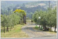 La Masseria Casa Vacanze - B&B Empoli