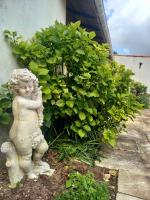 B&B Jard-sur-Mer - Chez Chris - Bed and Breakfast Jard-sur-Mer