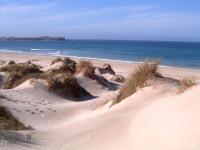 Dream on Peniche - Apartment - B&B