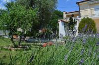 Lucija - B&B