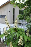 B&B Badenweiler - Klemmbachidyll - Bed and Breakfast Badenweiler