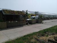 Rastlinky.sk Greenhouse Guestrooms - B&B