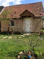 Guest House Rózsakert - Bed and Breakfast Egerszalók