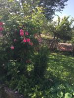 Guesthouse LALI GULEDANI - B&B Tsvirmi