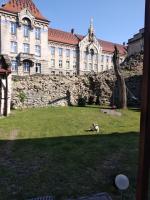 Apartament Śródmieście Przemyśl - B&B