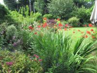 Le Seringat - B&B Saint-Léonard