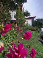 B&B Molina - ESTANCIA LOS BOLDOS - Bed and Breakfast Molina