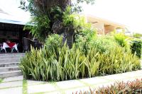 Pirogue Lodge - B&B Baie Sainte Anne