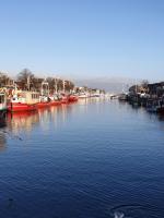 FeWo & Dz "Am Wald" - B&B Altheide