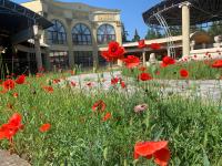 Fontan - Ferienwohnung Tschornomorsk