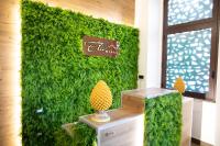 Etna Hills - B&B Catania