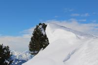 Appartement met 3 Slaapkamers