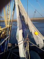 Top EG Rollstuhlwohnung 80qm zum Frühjahr- und Sommerpreis - Chambres d’hôtes Utarp