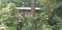 Familiensuite mit Balkon