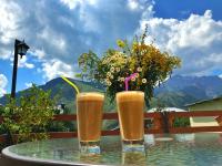 Guest House Elguja Qushashvili - Bed and Breakfast Stepantsminda