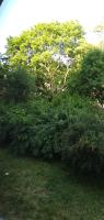 Zielony Apartament, Kielce, Targi, Centrum - B&B
