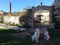 B&B Sobrestany - Mas Del Llop Blanc - Dog friendly Hostal Rural - B&B - Bed and Breakfast Sobrestany