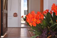 Apartma Ksela - Ferienwohnung