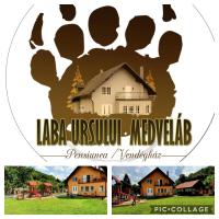 Pensiunea Laba Ursului - Medveláb Vendégház - B&B