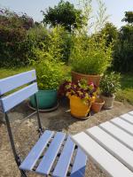 Chambre avec salle de bains privative - B&B Boutiers-Saint-Trojan