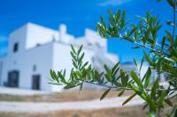 Masseria Donna Coletta - B&B
