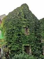 Apartmány v centru u Moravců - Chambres d’hôtes Třeboň