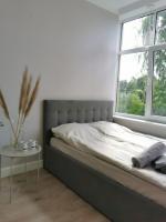 Tolstoi Scandinavian 1 bedroom apartment + free parking - Bed and Breakfast