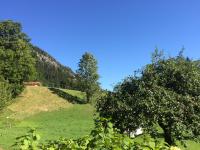 B&B Aschau im Chiemgau - Ferienwohnungen Landinger - Bed and Breakfast Aschau im Chiemgau