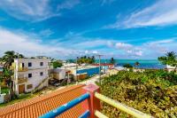 Scarlet Macaw at De Real Macaw - B&B Cayo Corker