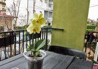 Casa La Rosa - mare e pineta - 2 bici incluse - B&B Viareggio