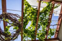 Junior Suite mit Whirlpool im Freien