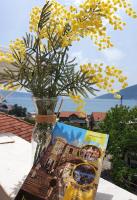 B&B Herceg Novi - R&S Apartments - Bed and Breakfast Herceg Novi