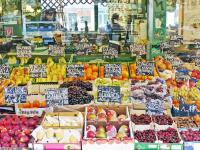 Appartamento Monolocale