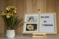 'T ONDERDAK - B&B Lommel