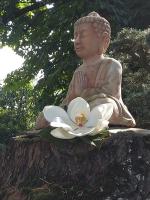 Le Clos du Cèdre - B&B Launac