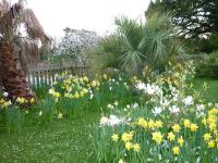 St Maur - B&B Ventnor