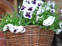 The Hayloft B and B - B&B