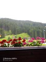 villetta bifamiliare con giardino - Bed and Breakfast San Pietro di Cadore